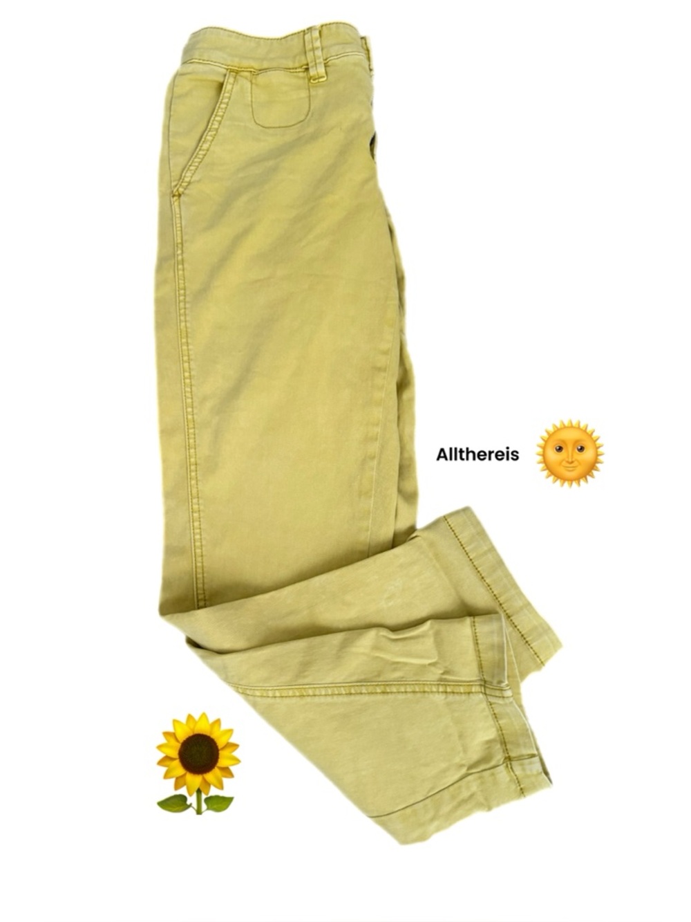 NWT CHINO pants by Anthropologie 26 - Picture 3 of 15
